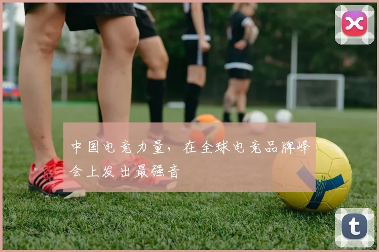 中国电竞力量，在全球电竞品牌峰会上发出最强音