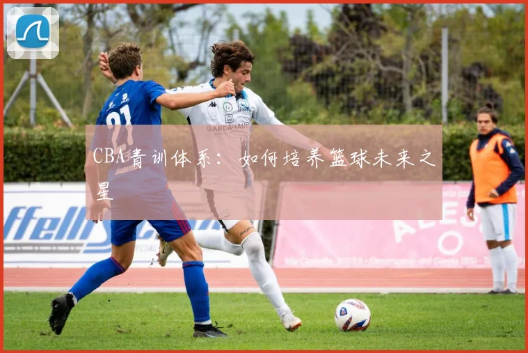 CBA青训体系:如何培养篮球未来之星